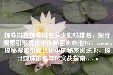 蜘蛛排名蜘蛛排名多少蜘蛛排名，探寻搜索引擎优化中的秘密蜘蛛池TG：zzcseo，揭秘搜索引擎优化中的秘密蜘蛛池，探寻蜘蛛排名与TG实战指南zzcseo