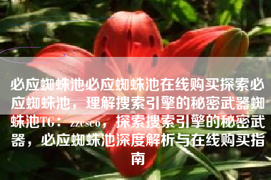 必应蜘蛛池必应蜘蛛池在线购买探索必应蜘蛛池，理解搜索引擎的秘密武器蜘蛛池TG：zzcseo，探索搜索引擎的秘密武器，必应蜘蛛池深度解析与在线购买指南