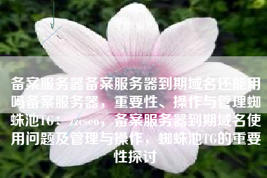 备案服务器备案服务器到期域名还能用吗备案服务器，重要性、操作与管理蜘蛛池TG：zzcseo，备案服务器到期域名使用问题及管理与操作，蜘蛛池TG的重要性探讨