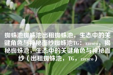 蜘蛛池蜘蛛池出租蜘蛛池，生态中的关键角色与神秘面纱蜘蛛池TG：zzcseo，揭秘蜘蛛池，生态中的关键角色与神秘面纱（出租蜘蛛池，TG，zzcseo）