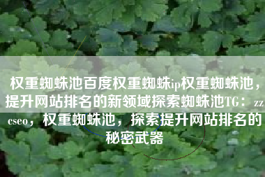 权重蜘蛛池百度权重蜘蛛ip权重蜘蛛池，提升网站排名的新领域探索蜘蛛池TG：zzcseo，权重蜘蛛池，探索提升网站排名的秘密武器
