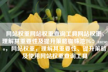 网站权重网站权重查询工具网站权重，理解其重要性及提升策略蜘蛛池TG：zzcseo，网站权重，理解其重要性、提升策略及使用网站权重查询工具