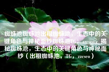 蜘蛛池蜘蛛池出租蜘蛛池，生态中的关键角色与神秘面纱蜘蛛池TG：zzcseo，揭秘蜘蛛池，生态中的关键角色与神秘面纱（出租蜘蛛池，TG，zzcseo）