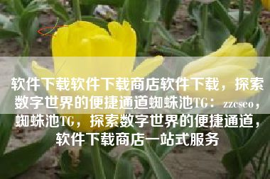 软件下载软件下载商店软件下载，探索数字世界的便捷通道蜘蛛池TG：zzcseo，蜘蛛池TG，探索数字世界的便捷通道，软件下载商店一站式服务