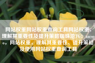 网站权重网站权重查询工具网站权重，理解其重要性及提升策略蜘蛛池TG：zzcseo，网站权重，理解其重要性、提升策略及使用网站权重查询工具