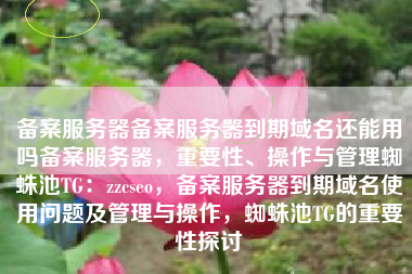 备案服务器备案服务器到期域名还能用吗备案服务器，重要性、操作与管理蜘蛛池TG：zzcseo，备案服务器到期域名使用问题及管理与操作，蜘蛛池TG的重要性探讨