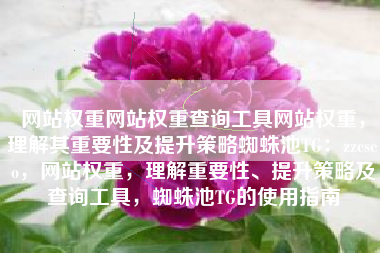 网站权重网站权重查询工具网站权重，理解其重要性及提升策略蜘蛛池TG：zzcseo，网站权重，理解重要性、提升策略及查询工具，蜘蛛池TG的使用指南
