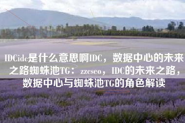 IDCidc是什么意思啊IDC，数据中心的未来之路蜘蛛池TG：zzcseo，IDC的未来之路，数据中心与蜘蛛池TG的角色解读