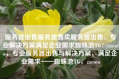 服务器出售服务器售卖服务器出售，专业解决方案满足企业需求蜘蛛池TG：zzcseo，专业服务器出售与解决方案，满足企业需求——蜘蛛池TG，zzcseo
