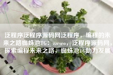 泛程序泛程序源码网泛程序，编程的未来之路蜘蛛池TG：zzcseo，泛程序源码网，探索编程未来之路，蜘蛛池TG助力发展