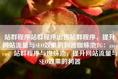 站群程序站群程序出售站群程序，提升网站流量与SEO效果的利器蜘蛛池TG：zzcseo，站群程序与蜘蛛池，提升网站流量与SEO效果的利器