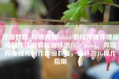 详细教程_哔哩哔哩bilibili教程哔哩哔哩视频制作详细教程蜘蛛池TG：zzcseo，哔哩哔哩视频制作详细教程，蜘蛛池TG操作指南