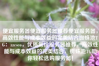 便宜服务器便宜服务器推荐便宜服务器，高效性能与成本效益的完美结合蜘蛛池TG：zzcseo，优质低价服务器推荐，高效性能与成本效益的完美结合，蜘蛛池TG助你轻松选购服务器！