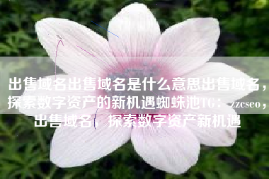 出售域名出售域名是什么意思出售域名，探索数字资产的新机遇蜘蛛池TG：zzcseo，出售域名，探索数字资产新机遇