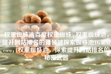 权重蜘蛛池百度权重蜘蛛ip权重蜘蛛池，提升网站排名的新领域探索蜘蛛池TG：zzcseo，权重蜘蛛池，探索提升网站排名的秘密武器