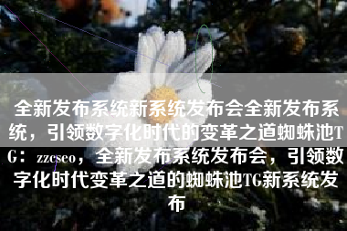 全新发布系统新系统发布会全新发布系统，引领数字化时代的变革之道蜘蛛池TG：zzcseo，全新发布系统发布会，引领数字化时代变革之道的蜘蛛池TG新系统发布