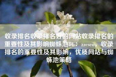 收录排名收录排名好的网站收录排名的重要性及其影响蜘蛛池TG：zzcseo，收录排名的重要性及其影响，优质网站与蜘蛛池策略