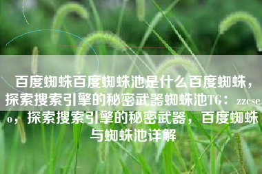 百度蜘蛛百度蜘蛛池是什么百度蜘蛛，探索搜索引擎的秘密武器蜘蛛池TG：zzcseo，探索搜索引擎的秘密武器，百度蜘蛛与蜘蛛池详解