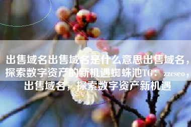 出售域名出售域名是什么意思出售域名，探索数字资产的新机遇蜘蛛池TG：zzcseo，出售域名，探索数字资产新机遇