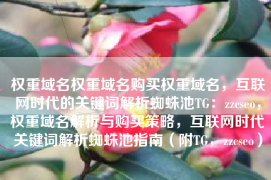 权重域名权重域名购买权重域名，互联网时代的关键词解析蜘蛛池TG：zzcseo，权重域名解析与购买策略，互联网时代关键词解析蜘蛛池指南（附TG，zzcseo）