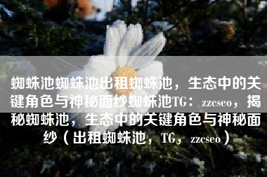 蜘蛛池蜘蛛池出租蜘蛛池，生态中的关键角色与神秘面纱蜘蛛池TG：zzcseo，揭秘蜘蛛池，生态中的关键角色与神秘面纱（出租蜘蛛池，TG，zzcseo）