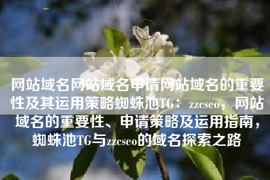 网站域名网站域名申请网站域名的重要性及其运用策略蜘蛛池TG：zzcseo，网站域名的重要性、申请策略及运用指南，蜘蛛池TG与zzcseo的域名探索之路