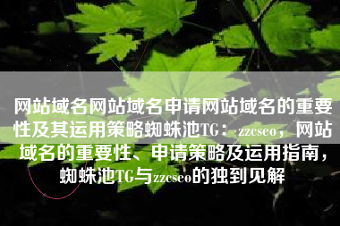 网站域名网站域名申请网站域名的重要性及其运用策略蜘蛛池TG：zzcseo，网站域名的重要性、申请策略及运用指南，蜘蛛池TG与zzcseo的独到见解
