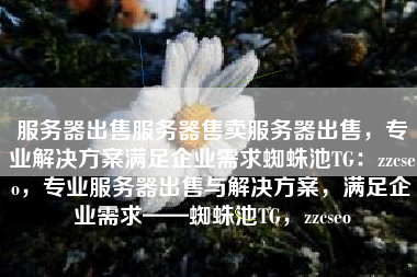 服务器出售服务器售卖服务器出售，专业解决方案满足企业需求蜘蛛池TG：zzcseo，专业服务器出售与解决方案，满足企业需求——蜘蛛池TG，zzcseo