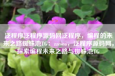 泛程序泛程序源码网泛程序，编程的未来之路蜘蛛池TG：zzcseo，泛程序源码网，探索编程未来之路与蜘蛛池TG