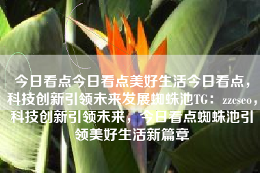 今日看点今日看点美好生活今日看点，科技创新引领未来发展蜘蛛池TG：zzcseo，科技创新引领未来，今日看点蜘蛛池引领美好生活新篇章