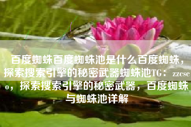 百度蜘蛛百度蜘蛛池是什么百度蜘蛛，探索搜索引擎的秘密武器蜘蛛池TG：zzcseo，探索搜索引擎的秘密武器，百度蜘蛛与蜘蛛池详解
