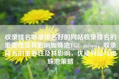 收录排名收录排名好的网站收录排名的重要性及其影响蜘蛛池TG：zzcseo，收录排名的重要性及其影响，优质网站与蜘蛛池策略