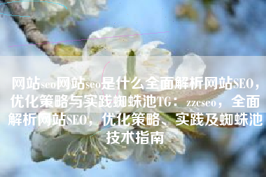 网站seo网站seo是什么全面解析网站SEO，优化策略与实践蜘蛛池TG：zzcseo，全面解析网站SEO，优化策略、实践及蜘蛛池技术指南