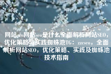 网站seo网站seo是什么全面解析网站SEO，优化策略与实践蜘蛛池TG：zzcseo，全面解析网站SEO，优化策略、实践及蜘蛛池技术指南