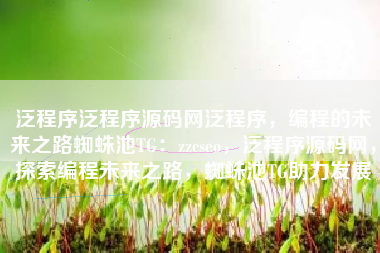 泛程序泛程序源码网泛程序，编程的未来之路蜘蛛池TG：zzcseo，泛程序源码网，探索编程未来之路，蜘蛛池TG助力发展