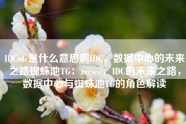 IDCidc是什么意思啊IDC，数据中心的未来之路蜘蛛池TG：zzcseo，IDC的未来之路，数据中心与蜘蛛池TG的角色解读