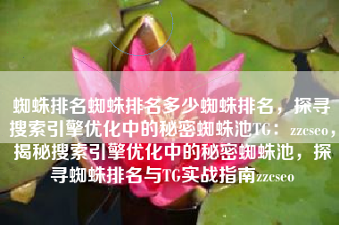 蜘蛛排名蜘蛛排名多少蜘蛛排名，探寻搜索引擎优化中的秘密蜘蛛池TG：zzcseo，揭秘搜索引擎优化中的秘密蜘蛛池，探寻蜘蛛排名与TG实战指南zzcseo