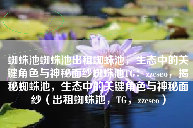 蜘蛛池蜘蛛池出租蜘蛛池，生态中的关键角色与神秘面纱蜘蛛池TG：zzcseo，揭秘蜘蛛池，生态中的关键角色与神秘面纱（出租蜘蛛池，TG，zzcseo）