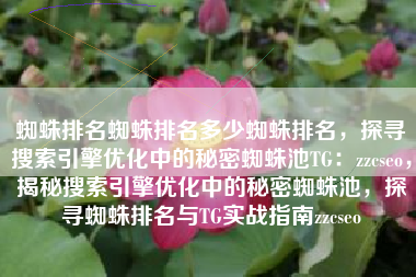 蜘蛛排名蜘蛛排名多少蜘蛛排名，探寻搜索引擎优化中的秘密蜘蛛池TG：zzcseo，揭秘搜索引擎优化中的秘密蜘蛛池，探寻蜘蛛排名与TG实战指南zzcseo