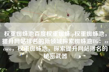 权重蜘蛛池百度权重蜘蛛ip权重蜘蛛池，提升网站排名的新领域探索蜘蛛池TG：zzcseo，权重蜘蛛池，探索提升网站排名的秘密武器