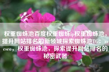 权重蜘蛛池百度权重蜘蛛ip权重蜘蛛池，提升网站排名的新领域探索蜘蛛池TG：zzcseo，权重蜘蛛池，探索提升网站排名的秘密武器