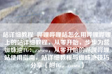 站详细教程_哔哩哔哩站怎么用哔哩哔哩上的站详细教程，从零开始，步步为营蜘蛛池TG：zzcseo，从零开始的哔哩哔哩站使用指南，站详细教程与蜘蛛池技巧分享（附TG，zzcseo）