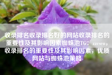 收录排名收录排名好的网站收录排名的重要性及其影响因素蜘蛛池TG：zzcseo，收录排名的重要性及其影响因素，优质网站与蜘蛛池策略