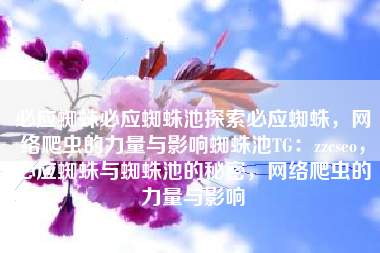 必应蜘蛛必应蜘蛛池探索必应蜘蛛，网络爬虫的力量与影响蜘蛛池TG：zzcseo，必应蜘蛛与蜘蛛池的秘密，网络爬虫的力量与影响