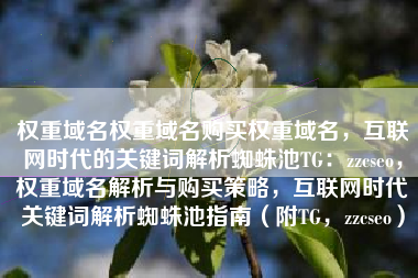 权重域名权重域名购买权重域名，互联网时代的关键词解析蜘蛛池TG：zzcseo，权重域名解析与购买策略，互联网时代关键词解析蜘蛛池指南（附TG，zzcseo）