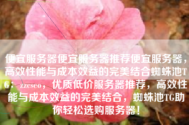 便宜服务器便宜服务器推荐便宜服务器，高效性能与成本效益的完美结合蜘蛛池TG：zzcseo，优质低价服务器推荐，高效性能与成本效益的完美结合，蜘蛛池TG助你轻松选购服务器！
