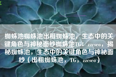 蜘蛛池蜘蛛池出租蜘蛛池，生态中的关键角色与神秘面纱蜘蛛池TG：zzcseo，揭秘蜘蛛池，生态中的关键角色与神秘面纱（出租蜘蛛池，TG，zzcseo）