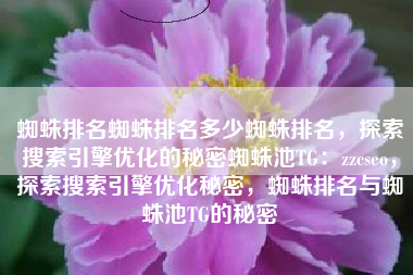 蜘蛛排名蜘蛛排名多少蜘蛛排名，探索搜索引擎优化的秘密蜘蛛池TG：zzcseo，探索搜索引擎优化秘密，蜘蛛排名与蜘蛛池TG的秘密