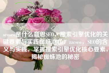 seoseo是什么意思SEO，搜索引擎优化的关键要素与实践蜘蛛池TG：zzcseo，SEO的含义与实践，掌握搜索引擎优化核心要素，揭秘蜘蛛池的秘密