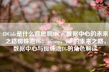 IDCidc是什么意思啊IDC，数据中心的未来之路蜘蛛池TG：zzcseo，IDC的未来之路，数据中心与蜘蛛池TG的角色解读